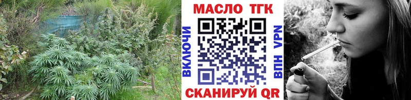 Купить закладки  Берёзовка  Дистиллят ТГК жижа 